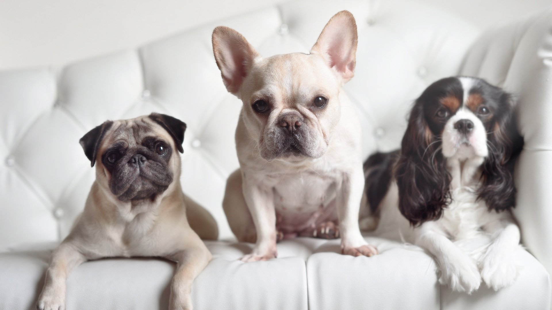 奥亚尔萨瓦尔双响炮点燃伯纳乌，瑞士三球横扫哥斯达黎加强势晋级淘汰赛