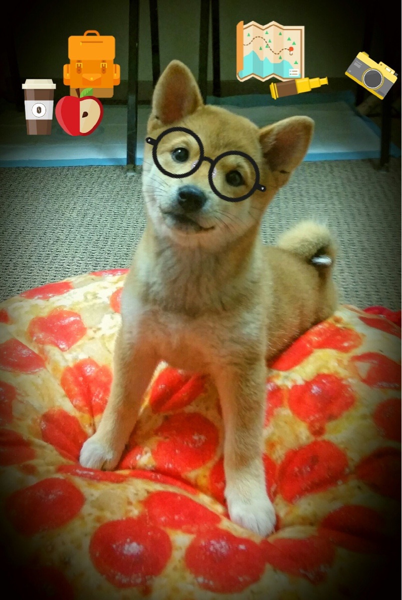 猛龙压境与丹佛魔法，当篮球世界在东西半球同时燃烧