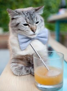 维也纳与利雅得的足球对话,凯塞多一箭定江山,书写绿茵唯一性