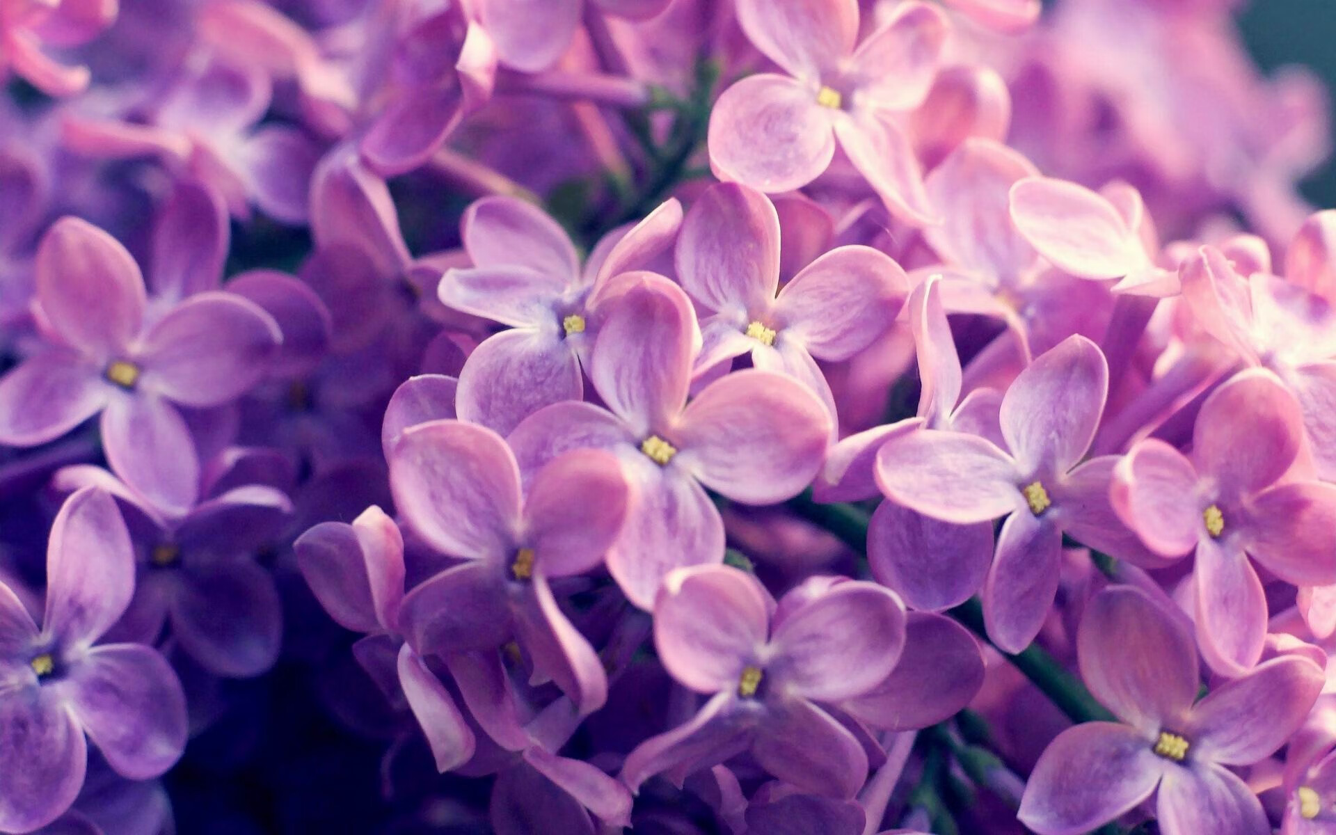 红军的定海神针—法比尼奥如何一肩挑起利物浦的欧战风云