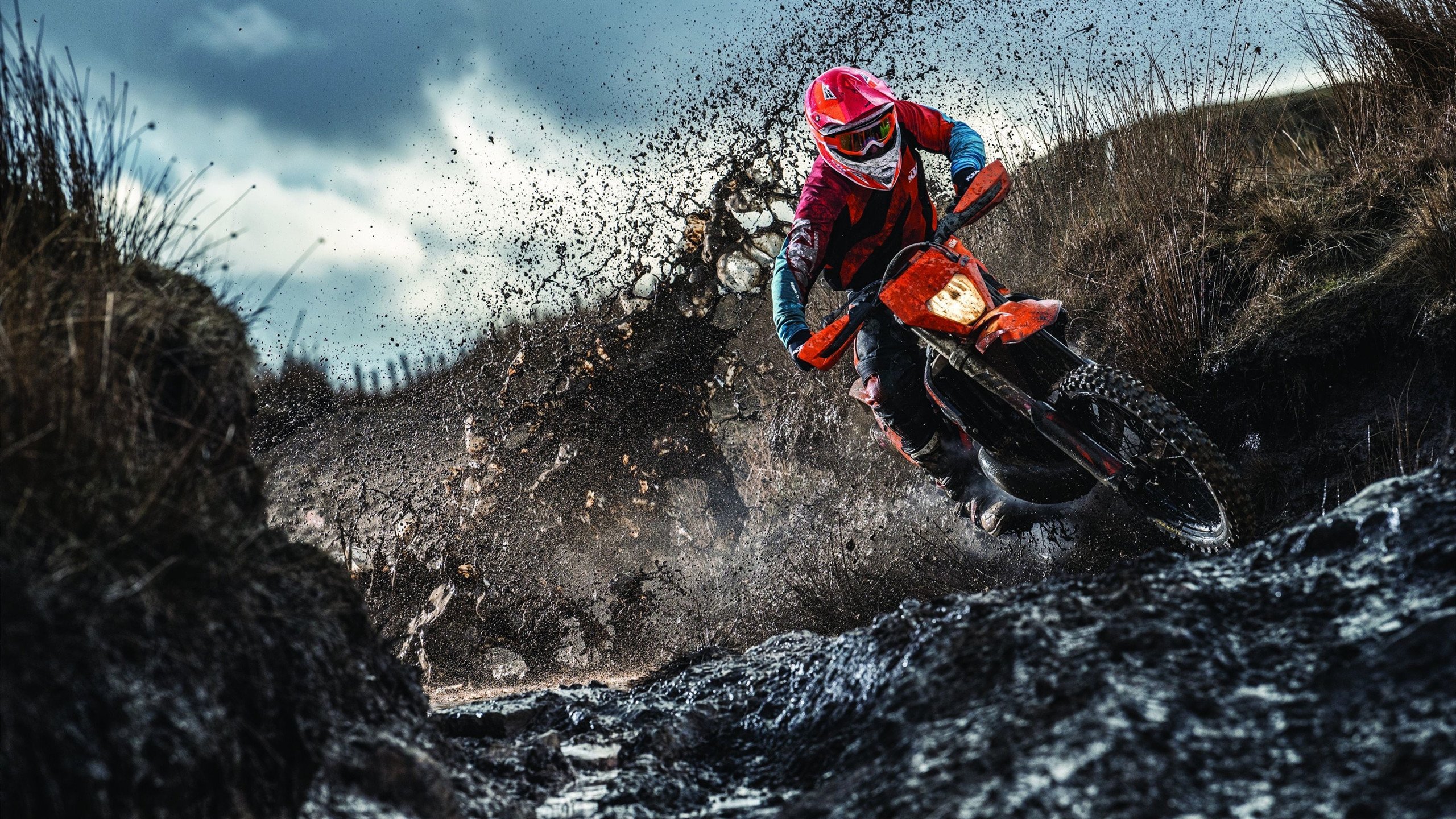 阿坎吉的怒吼，皇家社会的回响，当逆转成为跨越时空的密码