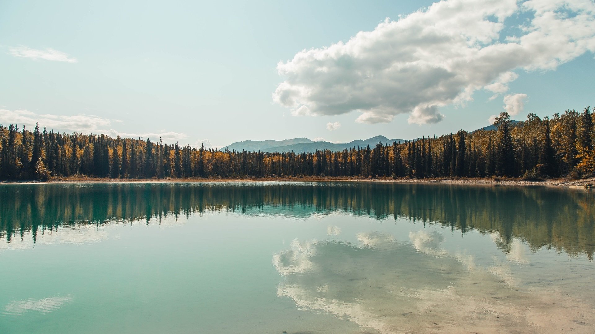 奥运前哨战，小贾伦关键夜统治全场，为梦想铺就最后一里路