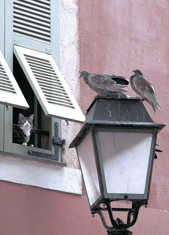 跨越时空的接管，尼克斯的终结风暴与帕斯卡尔的亚平宁之光