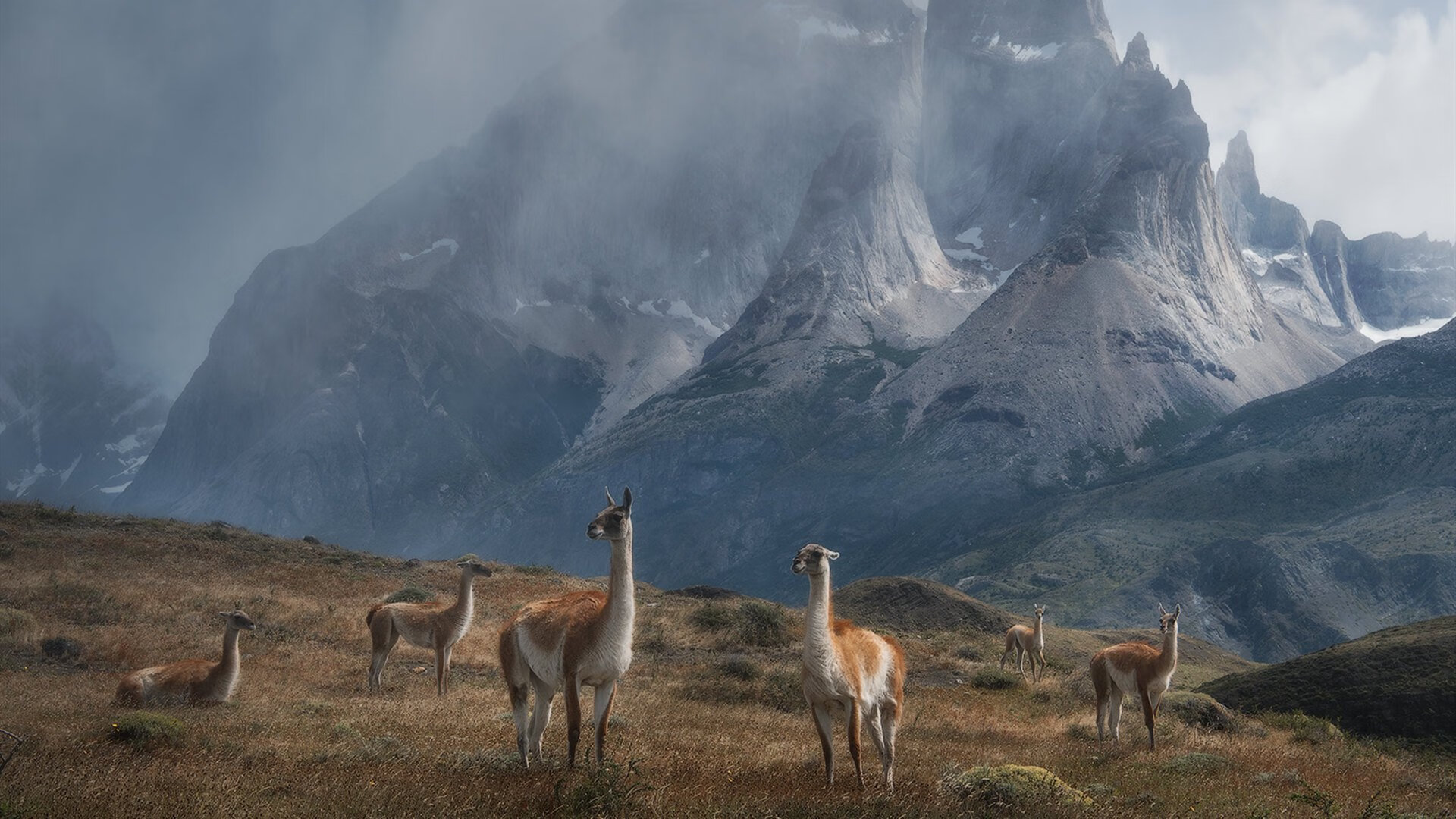 跨越国界的逆袭,莫兰特爆发助山西队强行终结步行者传奇
