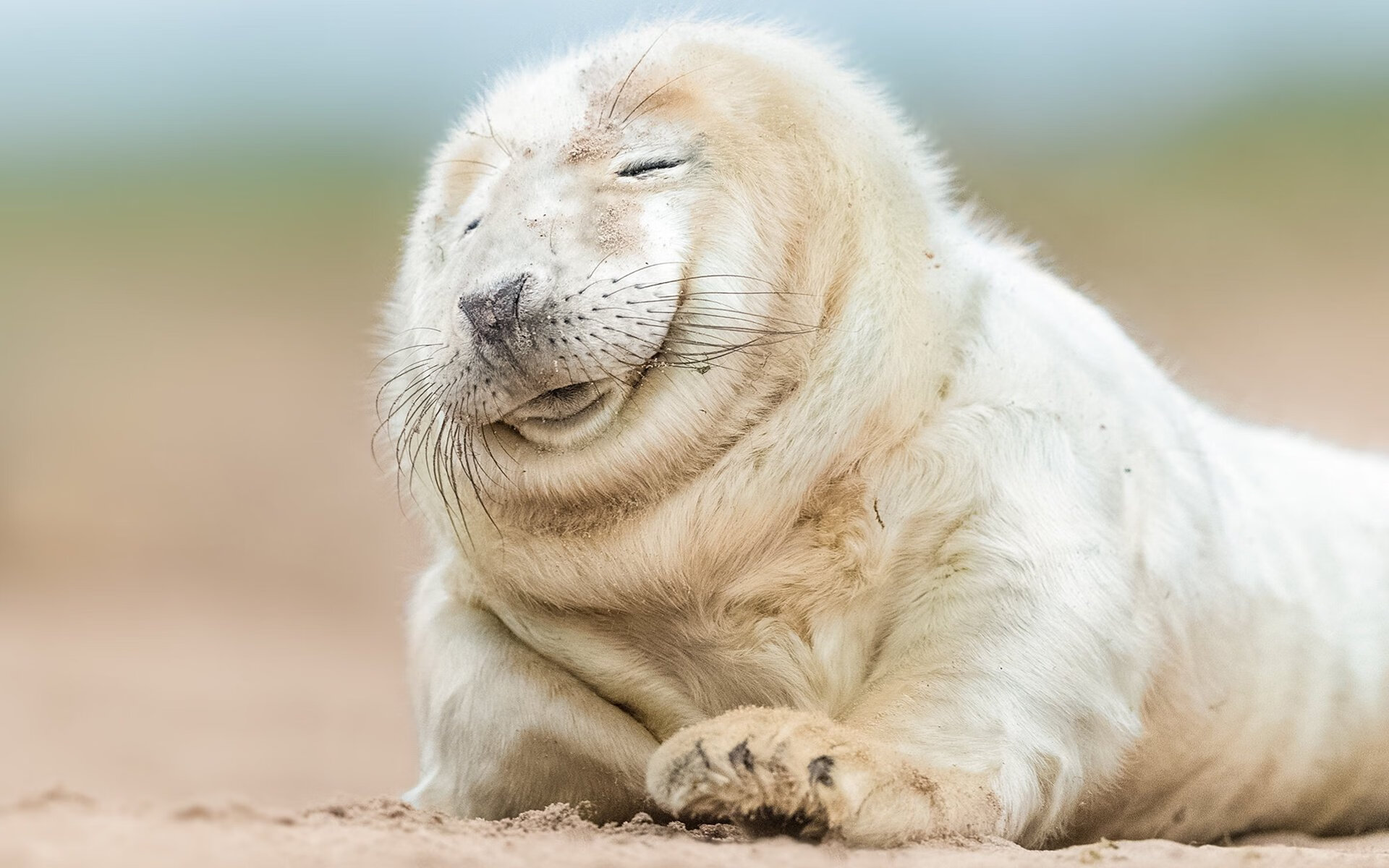 从迷失到英雄,特奥一球定音,比利亚雷亚尔上演逆转奇迹