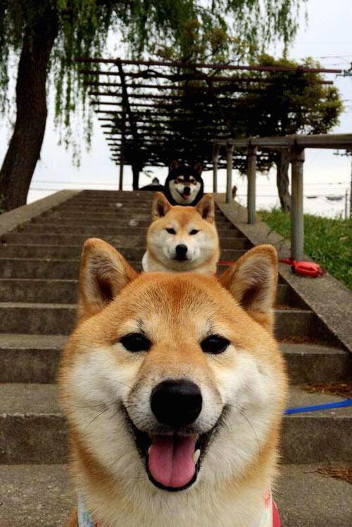 守夜人内马尔，东决关键战夜的钢铁锁链