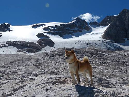 火箭刺破深空时,新星已在另个半球升起