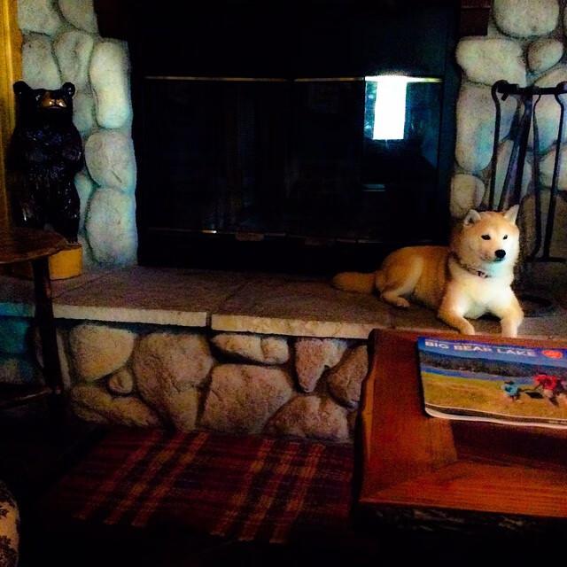 开云体育中国-中场冰川与战术火山，当卡马文加的存在感撞碎米兰神话