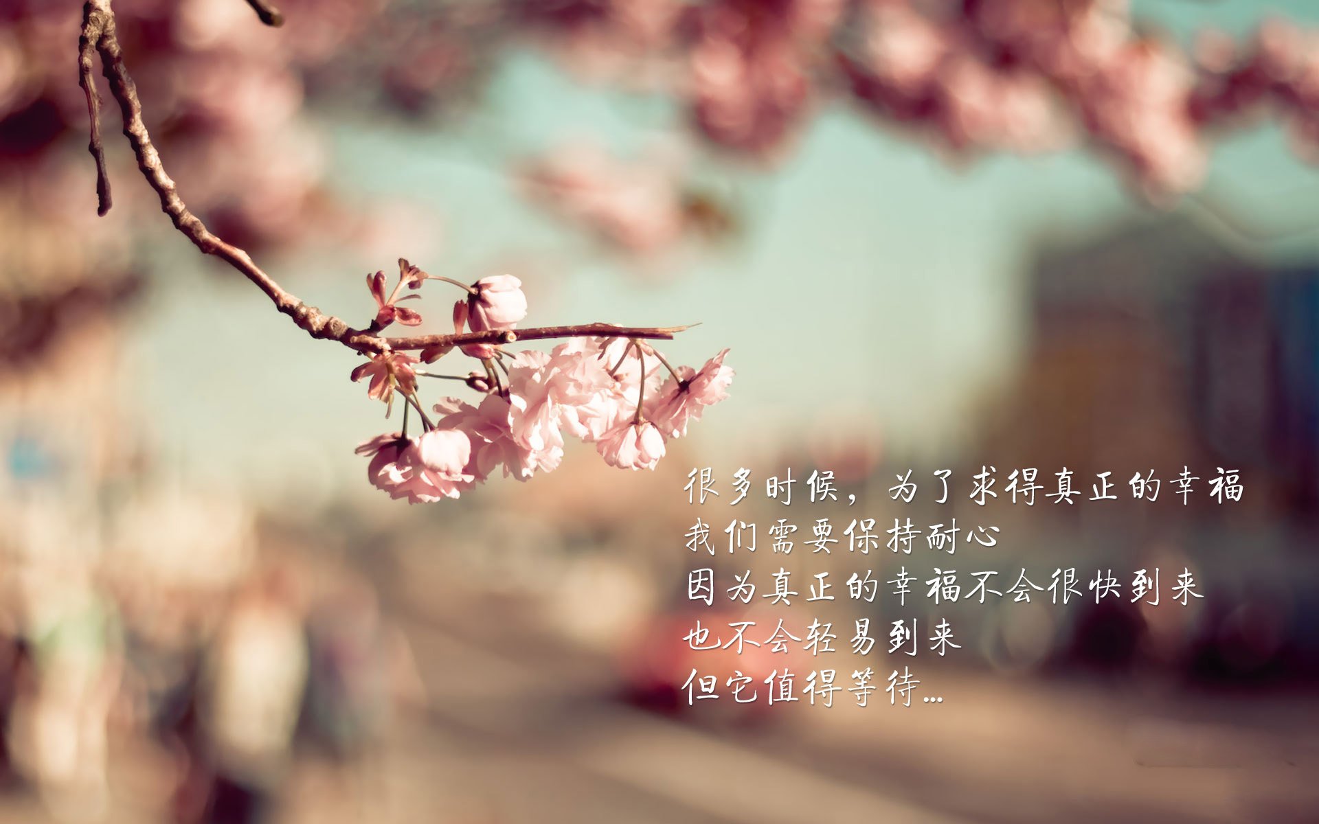 2026世界杯F组，乌拉圭绝杀美国，坎塞洛一球封神—那一刻，足球的残酷与浪漫并存