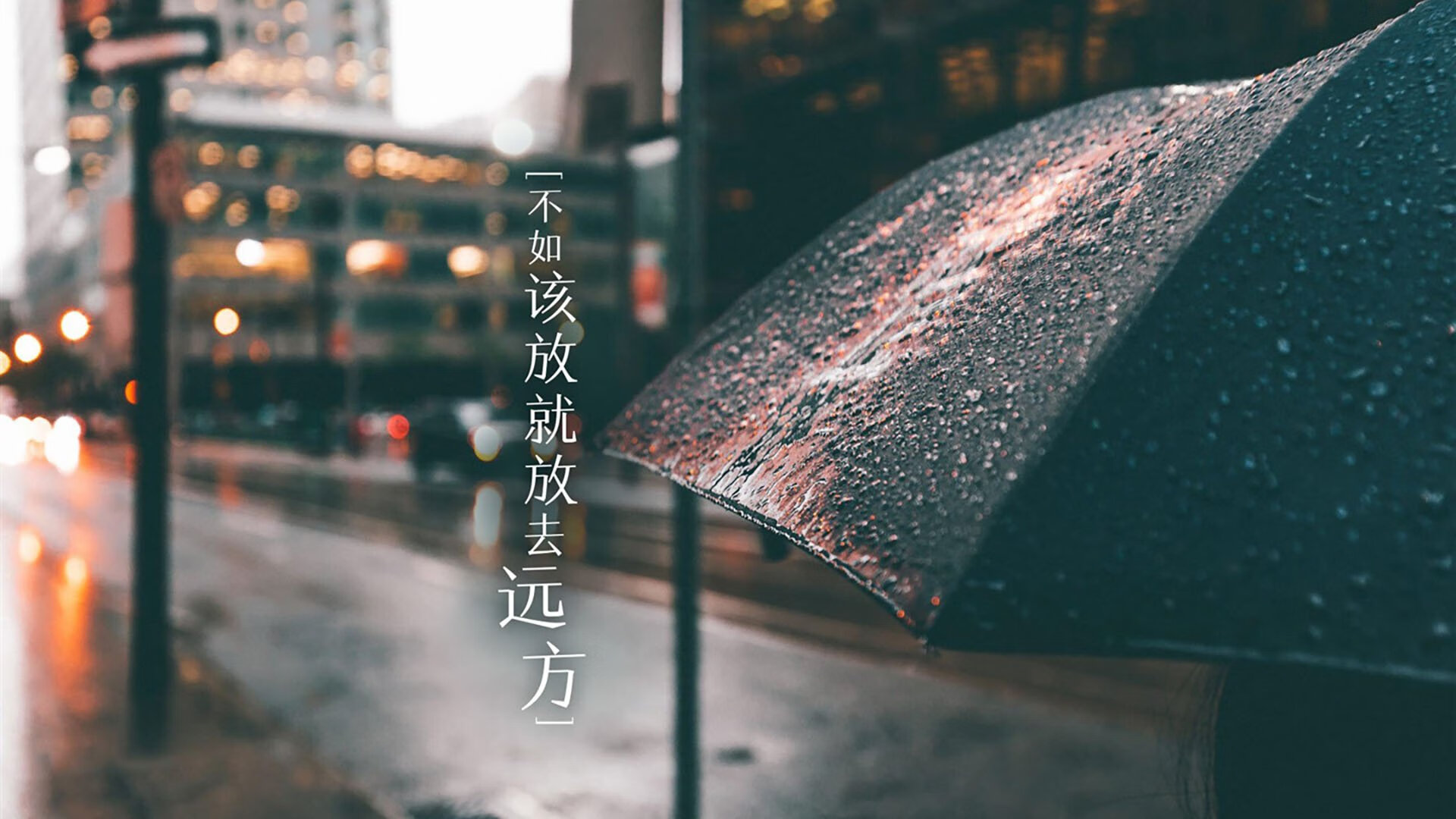 开云体育平台APP-冰与火之歌，2026世界杯D组关键战，冰岛锋刃斩落哥斯达黎加，哈基米用速度撕裂中北美防线