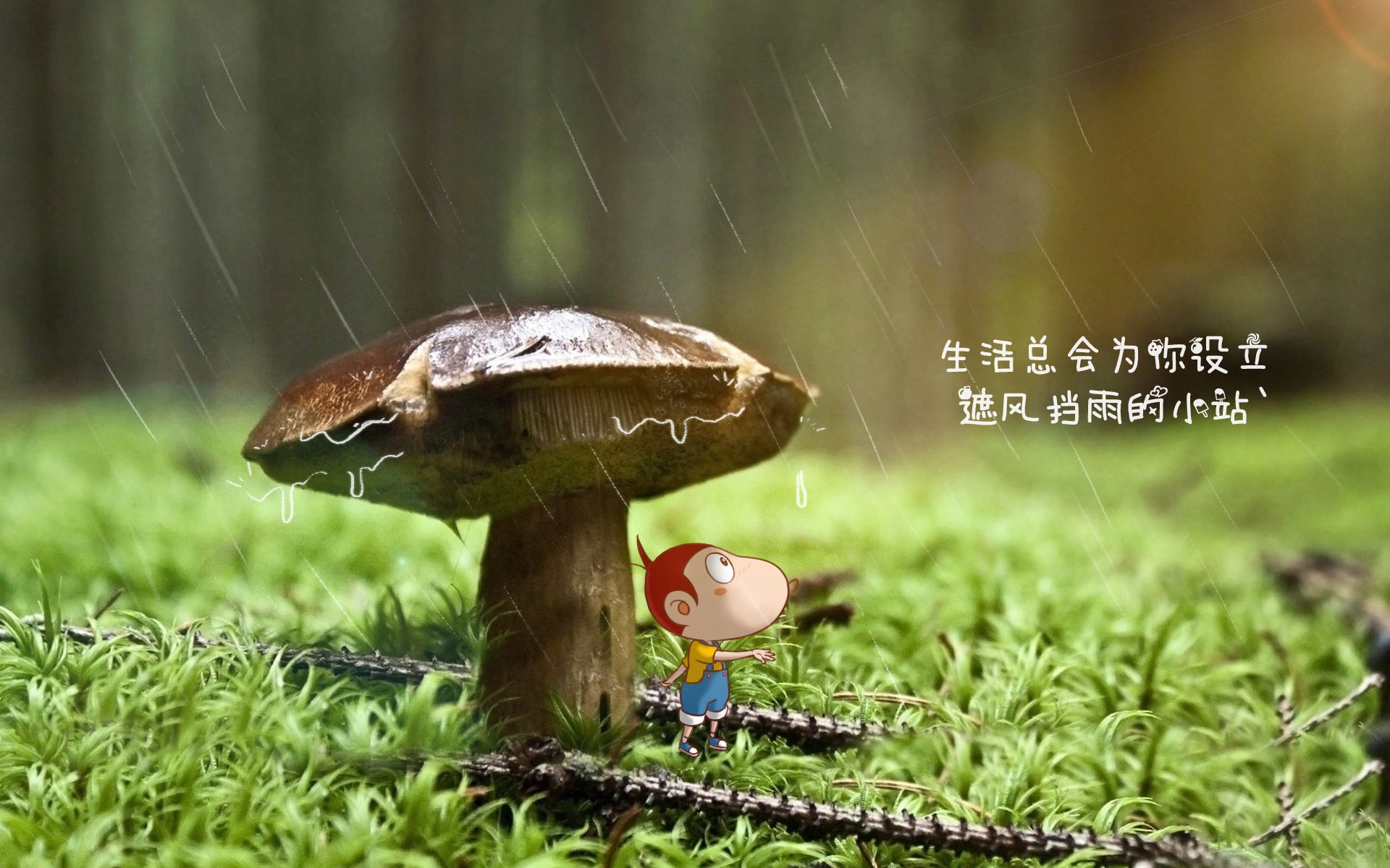 东方的闪电击穿铁幕，当维尼修斯的舞步，在湄南河畔掀起世界杯风暴